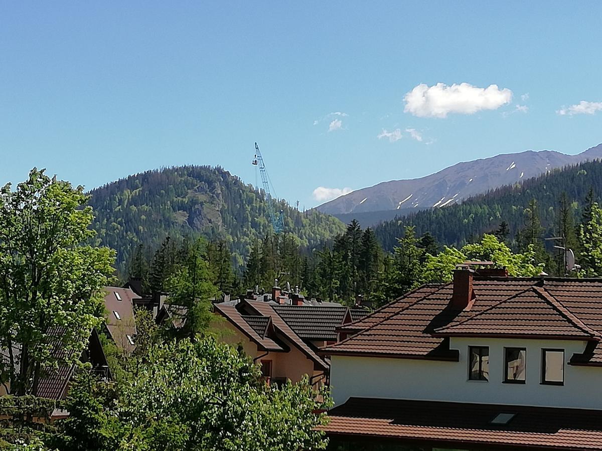 Apartamento Arnika Wynajem Pokoi Zakopane Exterior foto